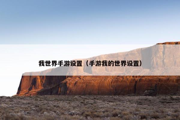 我世界手游设置（手游我的世界设置）
