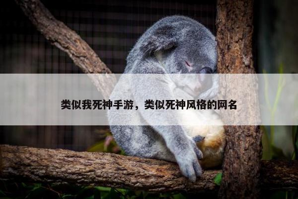 类似我死神手游，类似死神风格的网名