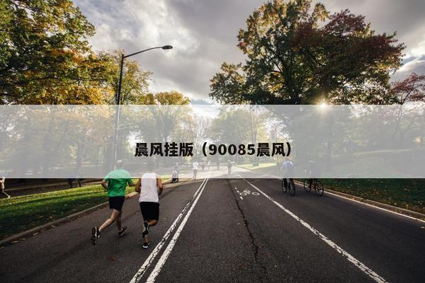 晨风挂版（90085晨风）