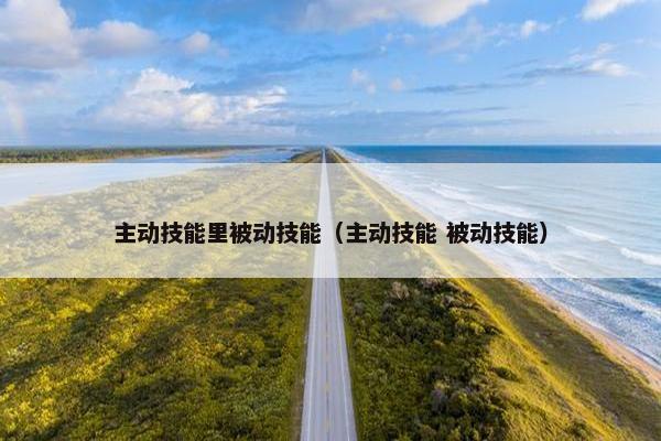 主动技能里被动技能（主动技能 被动技能）
