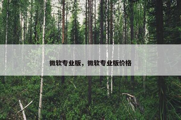 微软专业版，微软专业版价格
