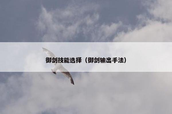 御剑技能选择（御剑输出手法）