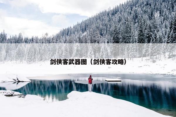 剑侠客武器图（剑侠客攻略）