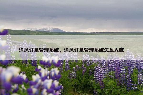 追风订单管理系统，追风订单管理系统怎么入库