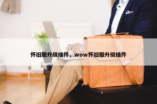 怀旧服升级插件，wow怀旧服升级插件