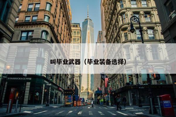 叫毕业武器（毕业装备选择）