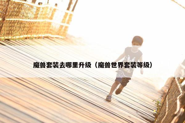 魔兽套装去哪里升级（魔兽世界套装等级）