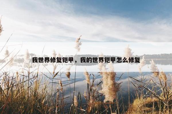 我世界修复铠甲，我的世界铠甲怎么修复
