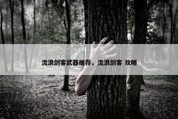 流浪剑客武器推荐，流浪剑客 攻略