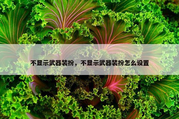 不显示武器装扮，不显示武器装扮怎么设置
