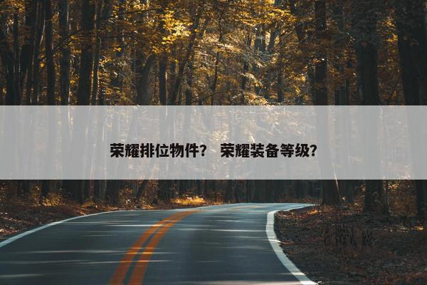荣耀排位物件？ 荣耀装备等级？