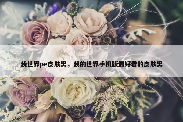 我世界pe皮肤男，我的世界手机版最好看的皮肤男
