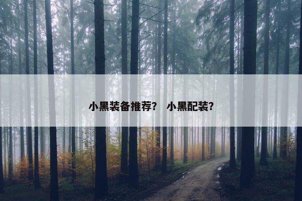 小黑装备推荐？ 小黑配装？