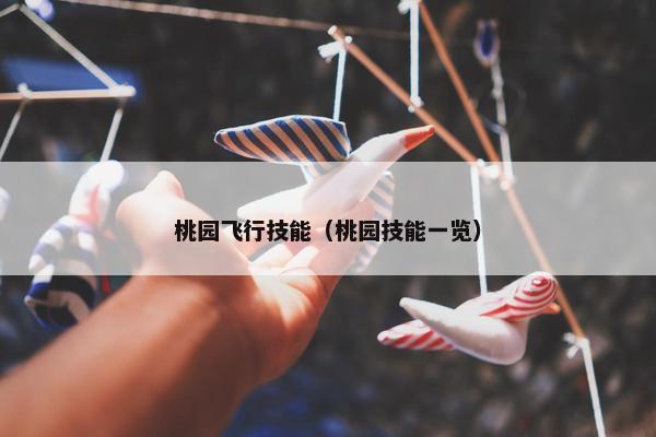 桃园飞行技能（桃园技能一览）