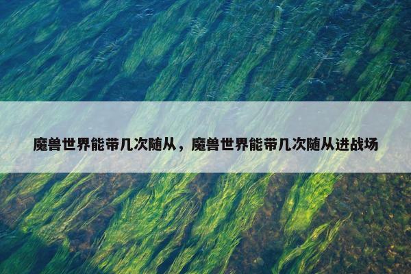 魔兽世界能带几次随从，魔兽世界能带几次随从进战场