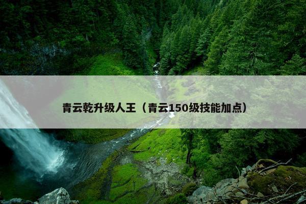 青云乾升级人王（青云150级技能加点）