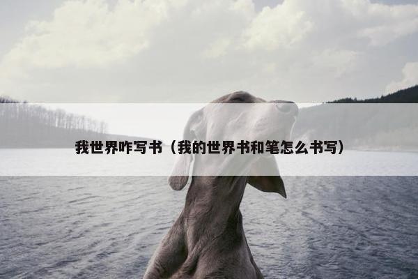 我世界咋写书（我的世界书和笔怎么书写）