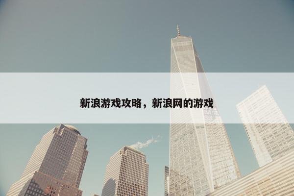 新浪游戏攻略，新浪网的游戏