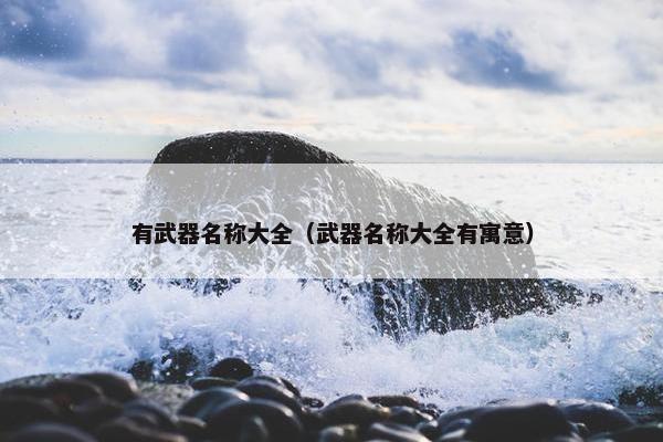 有武器名称大全（武器名称大全有寓意）