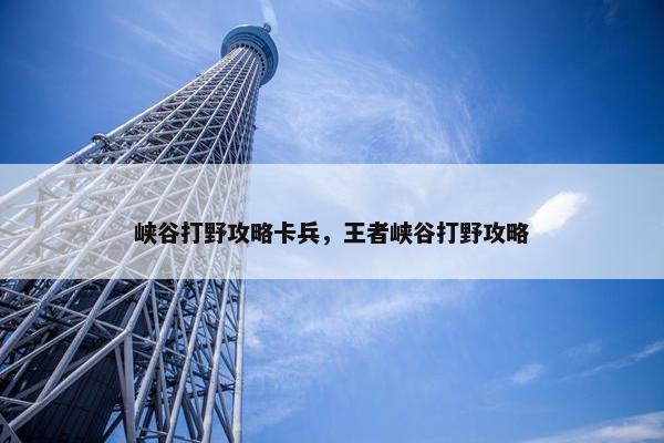峡谷打野攻略卡兵，王者峡谷打野攻略
