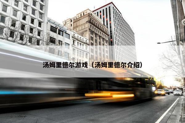 汤姆里德尔游戏（汤姆里德尔介绍）