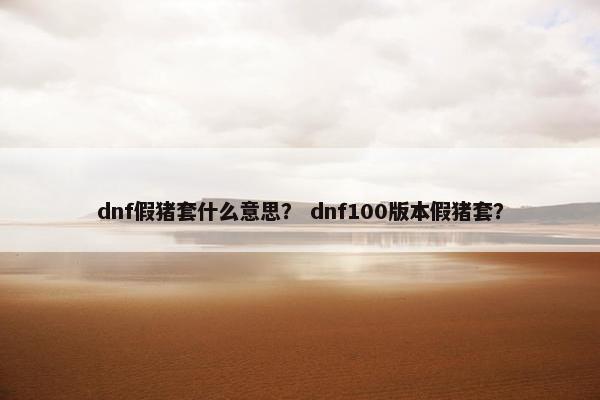 dnf假猪套什么意思？ dnf100版本假猪套？