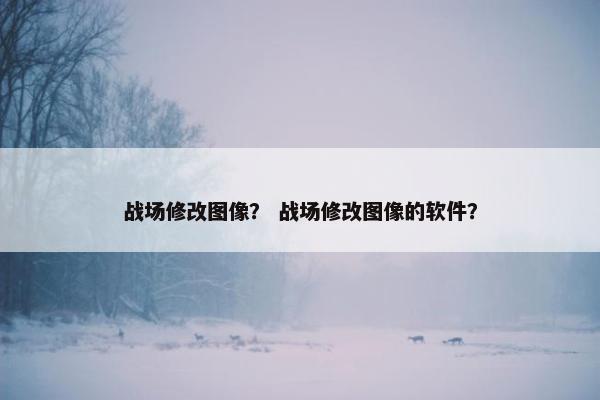 战场修改图像？ 战场修改图像的软件？
