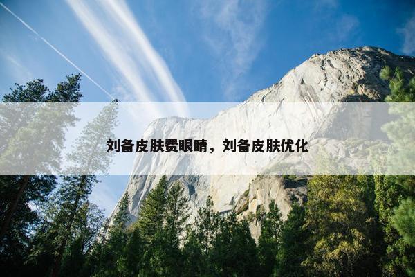刘备皮肤费眼睛，刘备皮肤优化