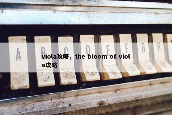 viola攻略，the bloom of viola攻略