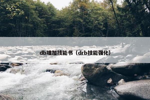db增加技能书（drb技能强化）