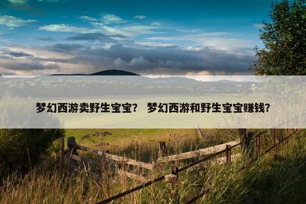 梦幻西游卖野生宝宝？ 梦幻西游和野生宝宝赚钱？