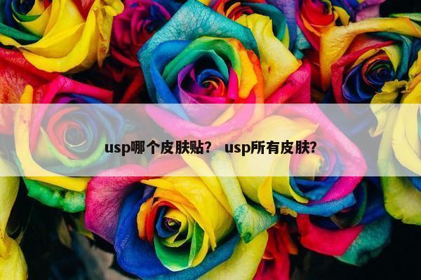 usp哪个皮肤贴？ usp所有皮肤？