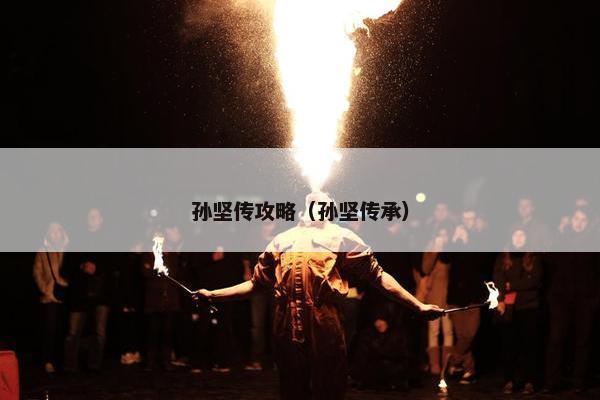 孙坚传攻略（孙坚传承）