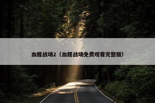 血腥战场2（血腥战场免费观看完整版）