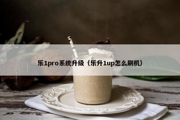 乐1pro系统升级（乐升1up怎么刷机）