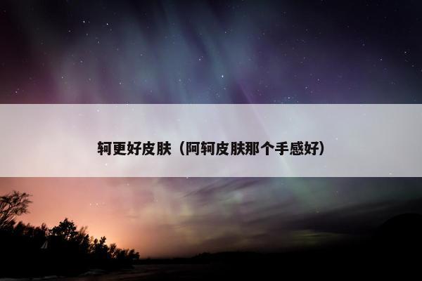 轲更好皮肤（阿轲皮肤那个手感好）