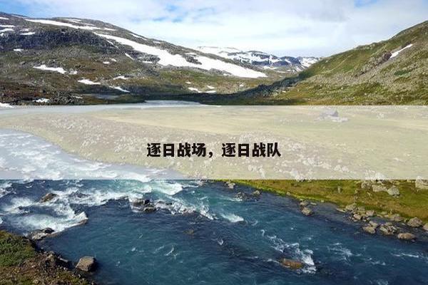 逐日战场，逐日战队