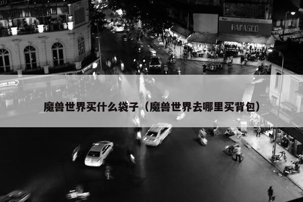 魔兽世界买什么袋子（魔兽世界去哪里买背包）