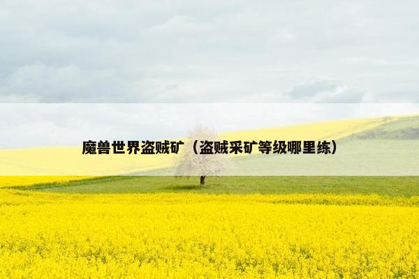 魔兽世界盗贼矿（盗贼采矿等级哪里练）