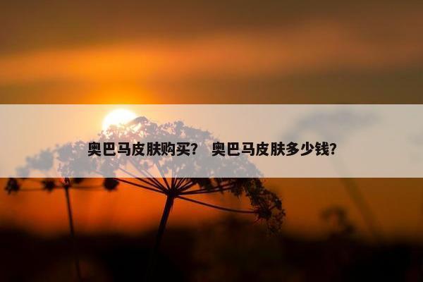 奥巴马皮肤购买？ 奥巴马皮肤多少钱？