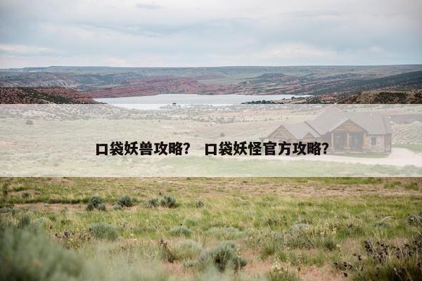 口袋妖兽攻略？ 口袋妖怪官方攻略？