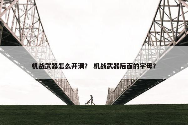 机战武器怎么开洞？ 机战武器后面的字母？