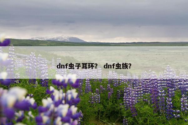 dnf虫子耳环？ dnf虫族？