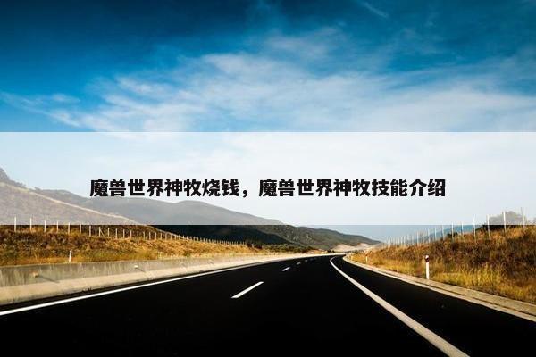 魔兽世界神牧烧钱，魔兽世界神牧技能介绍