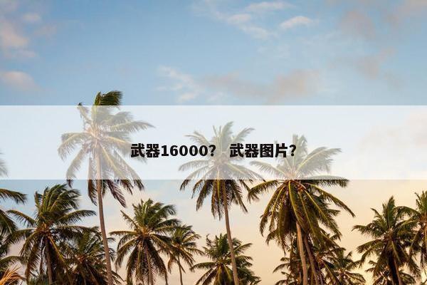 武器16000？ 武器图片？