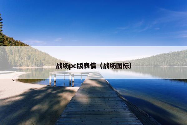 战场pc版表情（战场图标）