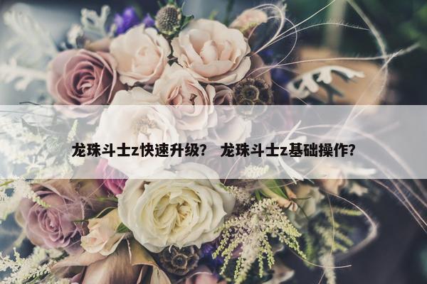 龙珠斗士z快速升级？ 龙珠斗士z基础操作？