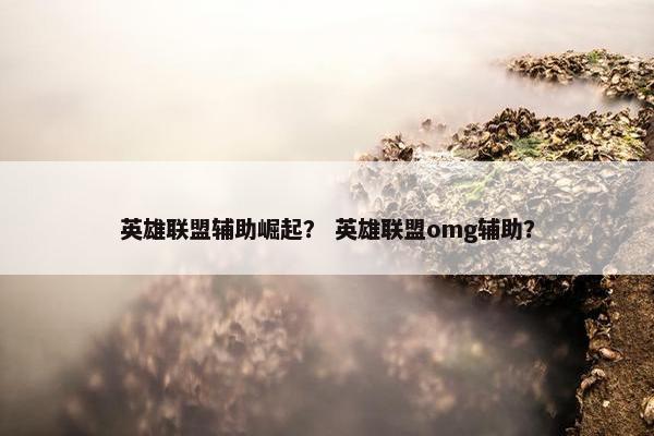 英雄联盟辅助崛起？ 英雄联盟omg辅助？