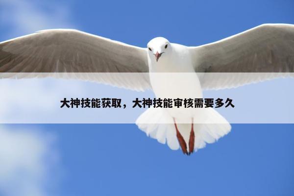 大神技能获取，大神技能审核需要多久