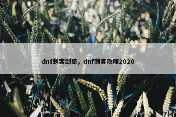 dnf刺客剑豪，dnf刺客攻略2020